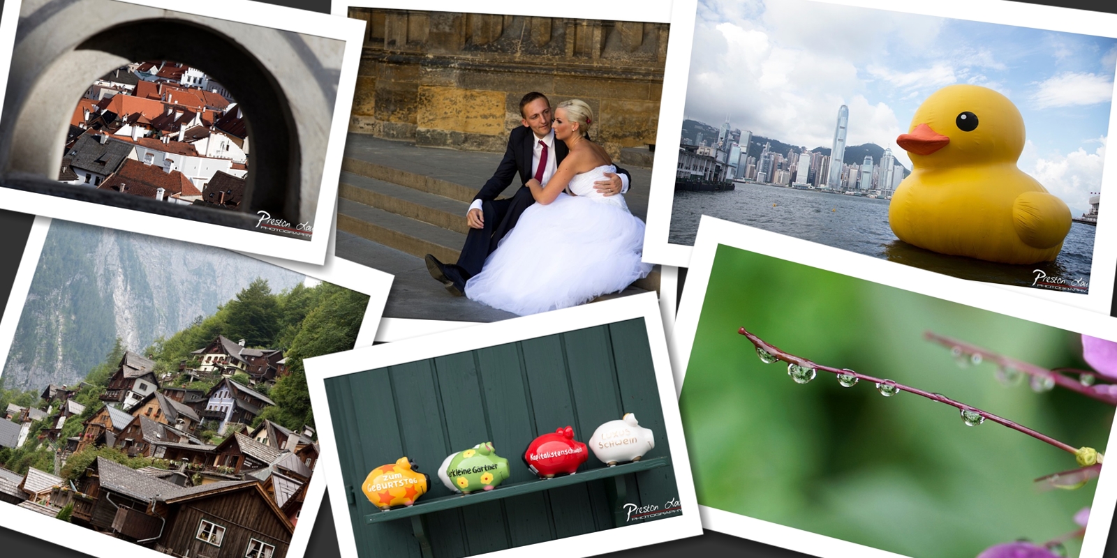 Year 2013 Best Photos